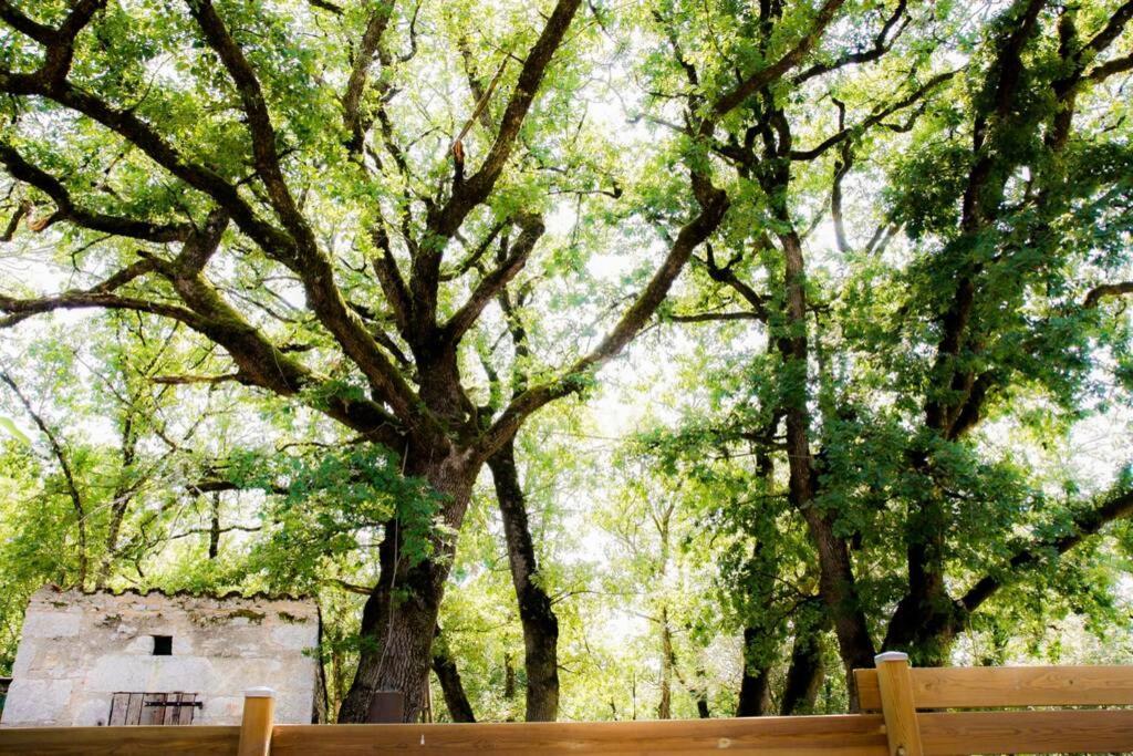Вілла La Taniere Des Druides Luzech Екстер'єр фото